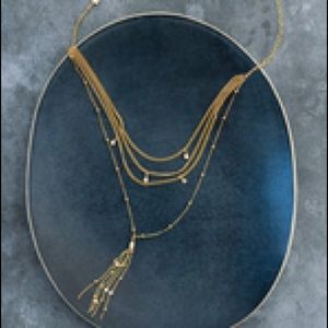 NWT Ettika Chloe Tassel Gold Necklace